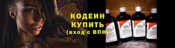 индика Покровск