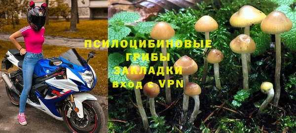 jwh Богородск