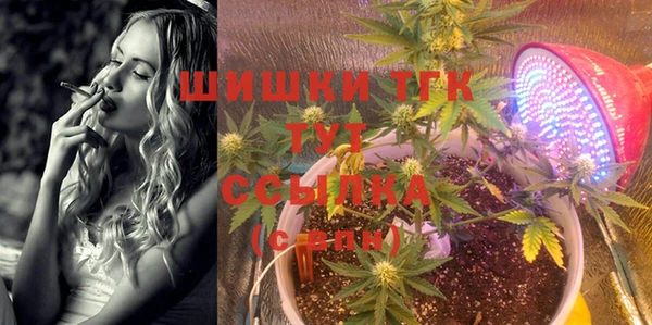 jwh Богородицк