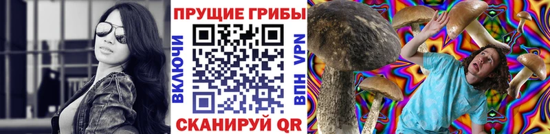 Галлюциногенные грибы Cubensis Тотьма